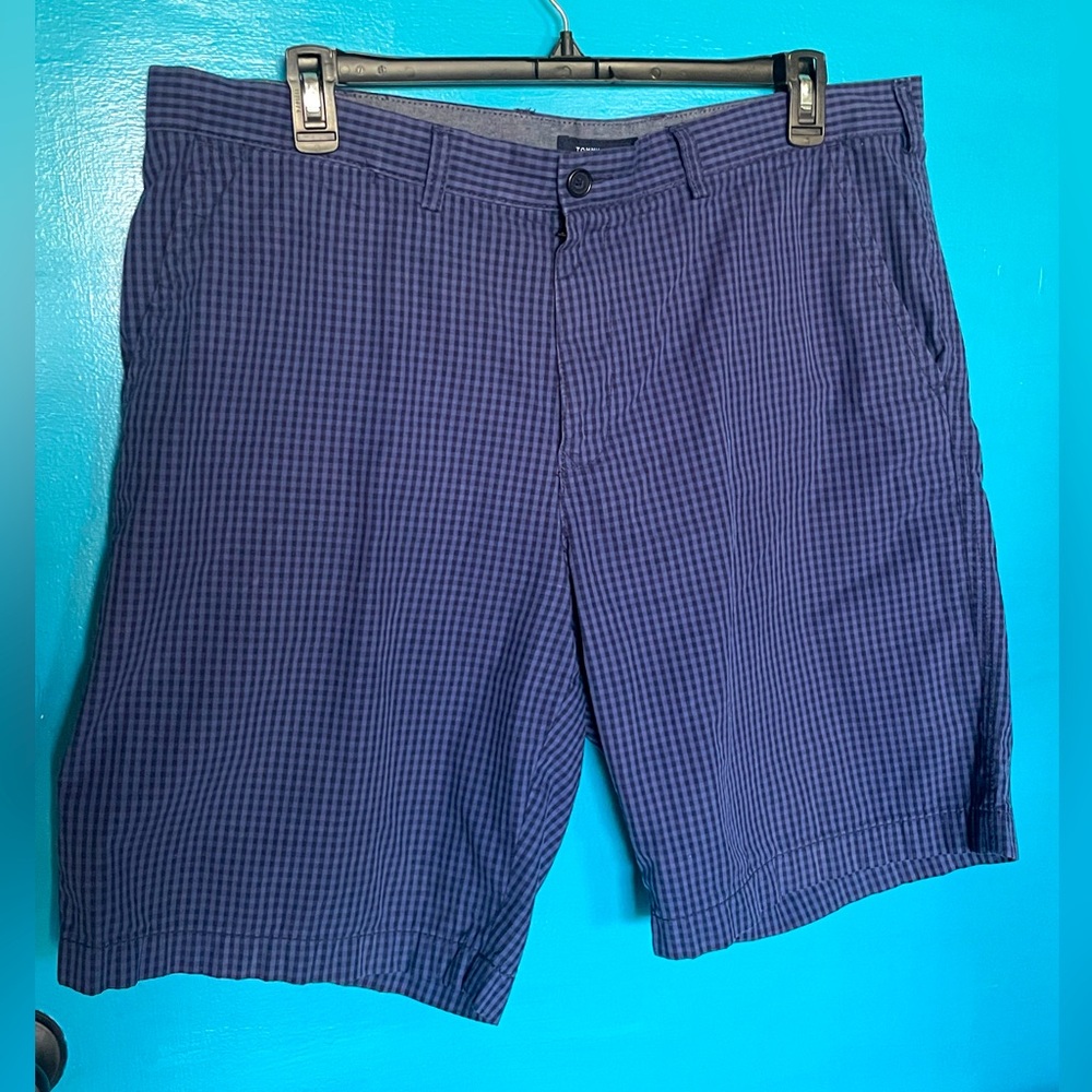 Tommy Hilfiger Blue Luxury Preppy Classic Checkered Shorts 2019 - SZ 40.